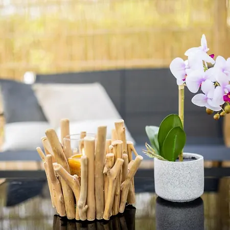 Lejlighed Studio Apartmentterrace Near University Campus *