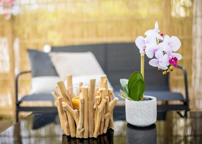 Apartament Studio Apartment University/Terrace *